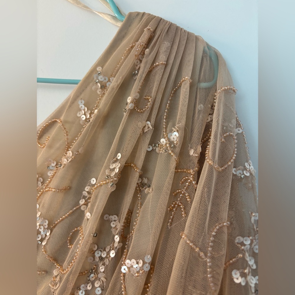 Adrianna Papell One-Shoulder Blush Beaded Gown size 12 - Picture 6 of 9